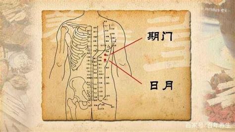 旗門穴|人體穴位大全——期門穴：胸脅滿痛，黃疸，嘔吐，呃。